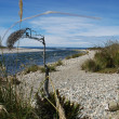 View of Wairaurahiri River out- let to the Southern Ocean.
