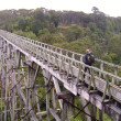 Percy Burn Viaduct